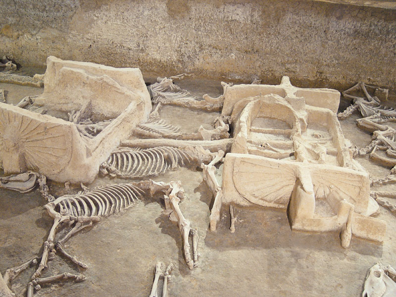 洛阳周王城天子驾六博物馆天气 洛阳周王城天子驾六博物馆天气