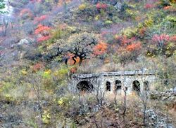 林州仙台山天气 林州仙台山天气