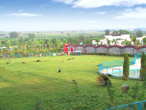 鹤壁三兴康乐村天气 鹤壁三兴康乐村天气