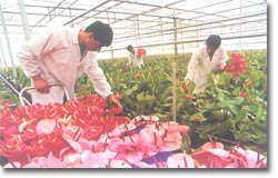 濮阳世锦园天气