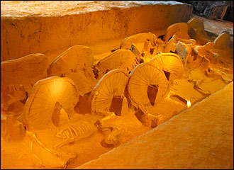 三门峡虢国贵族墓地天气 三门峡虢国贵族墓地天气