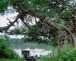 三门峡茅津古渡天气 三门峡茅津古渡天气