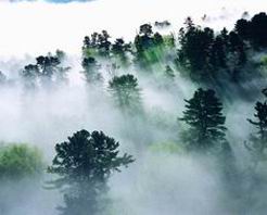 信阳新县连康山保护区天气 信阳新县连康山保护区天气