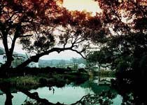 婺源上下晓起天气 婺源上下晓起天气