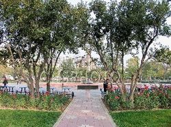 天津中心公园天气 天津中心公园天气