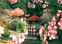 九江花径天气 九江花径天气