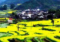 婺源江岭天气 婺源江岭天气