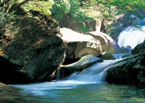 婺源大鄣山天气 婺源大鄣山天气