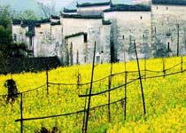 上饶思溪天气 上饶思溪天气