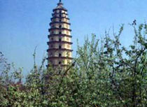 石家庄定州塔天气 石家庄定州塔天气