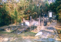 抚宁宝峰禅寺天气 抚宁宝峰禅寺天气