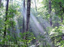 承德雾灵山风景区天气 承德雾灵山风景区天气