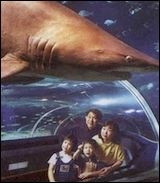 秦皇岛新澳海底世界天气 秦皇岛新澳海底世界天气