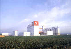 隆尧华龙面业集团有限公司天气 隆尧华龙面业集团有限公司天气