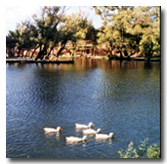 涞源拒马河源头天气 涞源拒马河源头天气