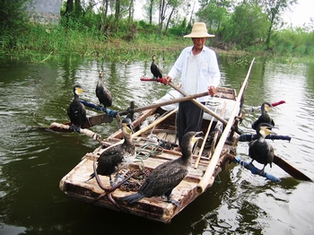 安新白洋淀鸳鸯岛天气 安新白洋淀鸳鸯岛天气