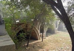 沧州善人桥天气 沧州善人桥天气