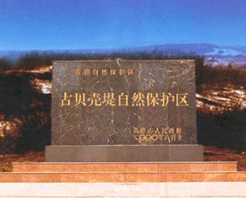 沧州古贝壳堤天气 沧州古贝壳堤天气