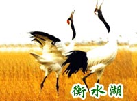 衡水湖天气 衡水湖天气