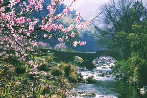 九江星子桃花源天气 九江星子桃花源天气
