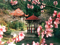 九江花径公园天气 九江花径公园天气