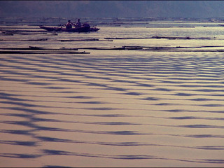 赣州九曲长滩风光天气 赣州九曲长滩风光天气
