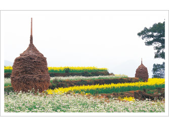 婺源江岭梯田风光天气 婺源江岭梯田风光天气