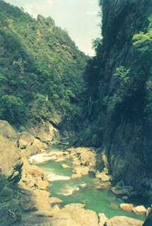 井冈山仙口天气 井冈山仙口天气