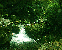 井冈山鹅岭天气 井冈山鹅岭天气