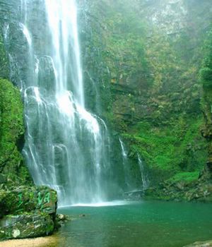 井冈山龙潭天气 井冈山龙潭天气