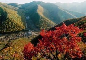 抚州翠云山天气 抚州翠云山天气