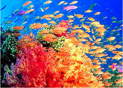 北京太平洋海底世界天气 北京太平洋海底世界天气