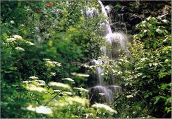 门头沟百花山天气 门头沟百花山天气