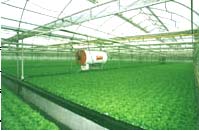 顺义兴绿园 顺义兴绿园