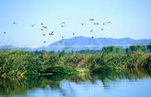顺义京东大芦荡天气 顺义京东大芦荡天气