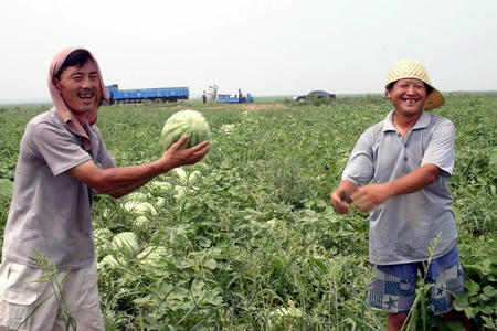 北京大兴区老宋瓜园天气 北京大兴区老宋瓜园天气