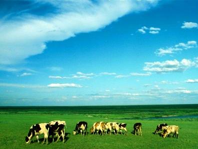 呼伦贝尔草原天气 呼伦贝尔草原天气