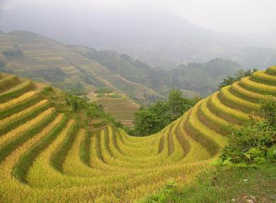 七星龙脊魂天气 七星龙脊魂天气