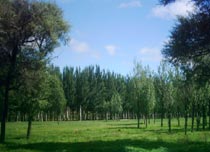 包头成吉思汗草原生态园天气 包头成吉思汗草原生态园天气