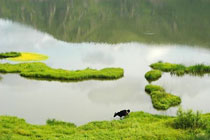 扎兰屯柴河森林公园天气 扎兰屯柴河森林公园天气