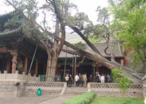 太原周柏唐槐天气 太原周柏唐槐天气