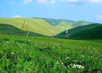 沁源花坡天气 沁源花坡天气