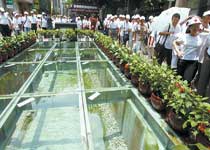 东山北京路千年古道遗址天气 东山北京路千年古道遗址天气