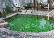 珠海中药谷天气 珠海中药谷天气