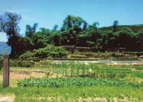 海丰青铜时代遗址天气 海丰青铜时代遗址天气