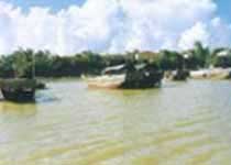 徐闻古港天气 徐闻古港天气