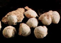 河源博物馆天气 河源博物馆天气