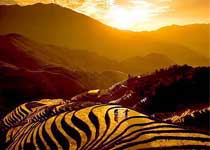 龙胜龙脊梯田天气 龙胜龙脊梯田天气