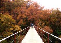 桂林古东瀑布天气 桂林古东瀑布天气