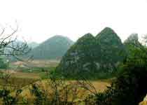 柳州大桥、洛维观光农业旅游区天气 柳州大桥、洛维观光农业旅游区天气